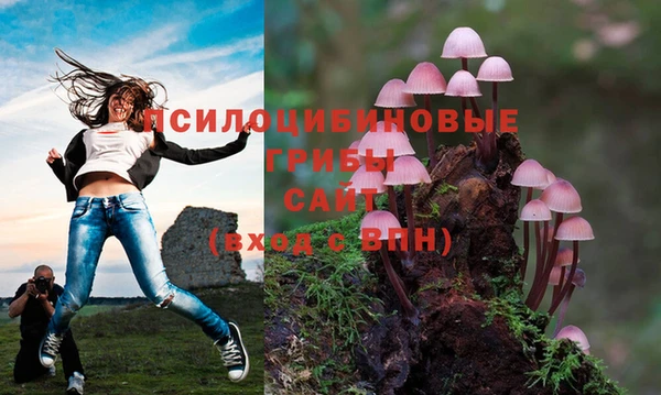 тгк Семилуки