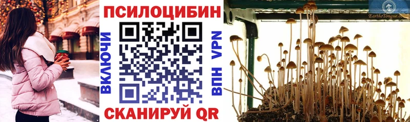 Галлюциногенные грибы мухоморы Покровск